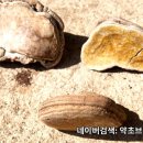 약초브라더스
