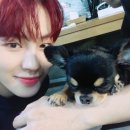 잘생김