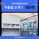 24시 코끼리동물의료센터 이미지