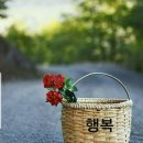 새벽지기장애인자립생활센터 이미지