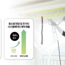 엠 이미지