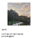 소나무언덕 네이버블로그