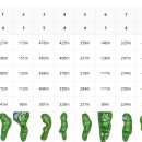 Top 스크린골프존 이미지