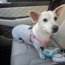 몽이네컷 이미지