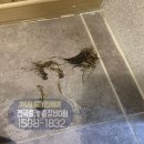 당리동-5 이미지