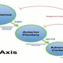 다미신경정신과의원 이미지
