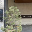 핸드픽트.서울 호텔 | 일상] 상도동 핸드픽트호텔 투숙 후기 (깔끔한 비즈니스 호텔)