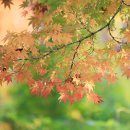 백옥세탁소 이미지