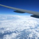 바다쪼개 이미지