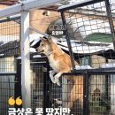 홍남농장 이미지