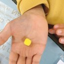 토현초등학교 이미지