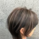 본덤 네이버블로그