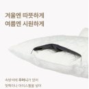 에브리데이 펫 | &#39;초코펫 에브리데이 하우스 3.0&#39; 내돈내산 후기