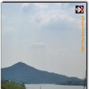 영산포홍어거리 이미지