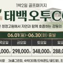 오투투어여행사