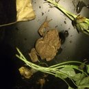 주빈농장 이미지