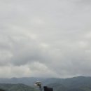 부여사나래캠핑농원 이미지