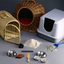 송도 종합 동물병원 이미지