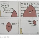 나아PC | 탄자니아 다레살람에서 장보기(2) | 부처샵, 실란트로 편 🥭🥩