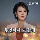 정정아 - 못잊어서 또 왔네 이미지