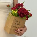 은빛 | [아이폰스냅] 스튜디오 페어리 '은빛스냅' 추천 후기, 웨딩촬영에 아이폰 스냅이요?