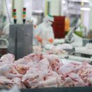 해동유통 이미지