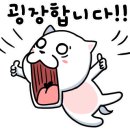 그립톡 양모펠트 이미지