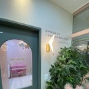 포레스타음악학원 - 서초구 헌릉로8길 9-8 | 포레스타음악학원