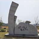 유채꽃길 이미지