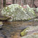 Dater Mtn, Harriman State Park (030624) 이미지