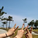 정동구제 이미지