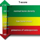 성모탑정형외과의원 이미지