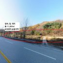 입암현대 공인중개사사무소 이미지