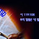너는 나를 따르라 - 요 21: 18-24 이미지