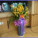 도봉실버센터 이미지