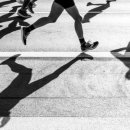 지오플러스 이미지