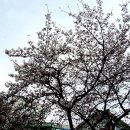 전주시 덕진구청 이미지