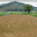 용곡농장 이미지