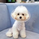 구름동물병원 이미지