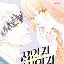 씨아이커뮤니케이션 네이버블로그
