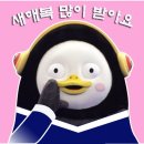 창원작심독서실 이미지