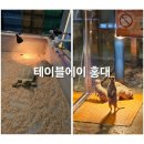 홍대 에이스토리 서울 실내동물원 방문 솔직후기ㅣ아이와 가기 좋았던 곳
