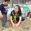 부여선교유치원 이미지