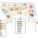 쇠고기 부위별 명칭 이미지