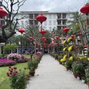 대룡VIP사우나한증막 | 다낭 풀빌라 숙소 추천 메리어트 논누억 3베드룸 스파 후기