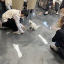 황등중학교 이미지