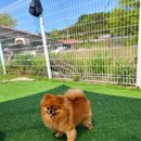 에이앤디 (A.N.D) 이미지