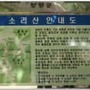 수원역민자역사육교 Daum카페