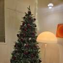 7082 | 진주브런치맛집 주택개조 감성 브런치카페 펄디스트릭 진주하대본점 솔직후기