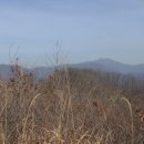 율치농장 이미지